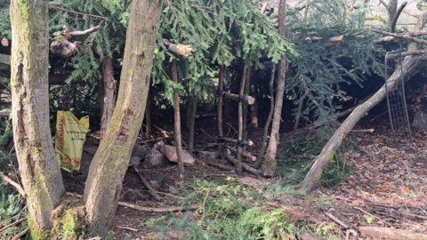 A wooden den inside Buxton's Grin Low Woods