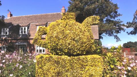 A large topiary teapot sits on a hedge plinth outside a brick cottage on Common Way in Tydd St Mary.