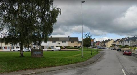 The picture shows the Ardshanavooly housing estate in Killarney. There is a green area in the forefront with a large tree with a row of terrace houses at the back of it and more to the right of the picture where there is also a road and a number of parked cars 