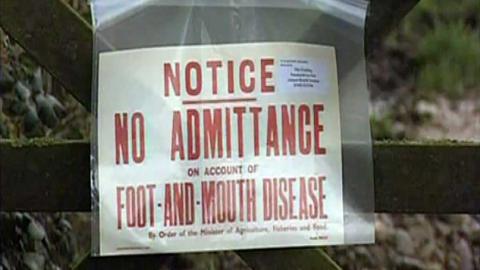 A sign on a wooden fence reading 'Notice No Admittance on account of Foot-and-Mouth Disease'.