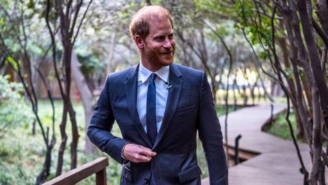 Prince Harry walks through an outdoor green space, wearing a suit and tie, while looking away from camera, taken in Johannesburg in October.