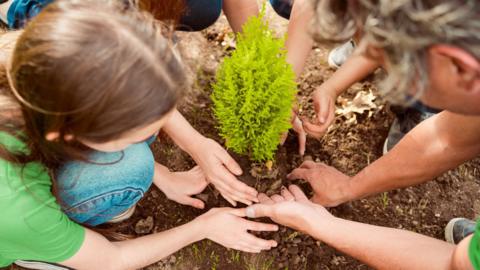 A family plants a tree