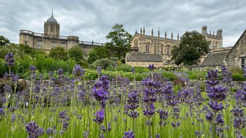 SATURDAY - Christ Church viewed through the lavender in Oxford was photographed by 鶹Լ Weather Watcher 