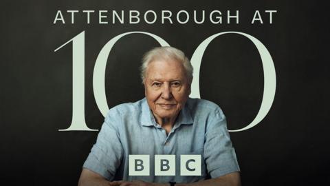 David Attenborough photo framed infront of the text, "Attenborough at 100"