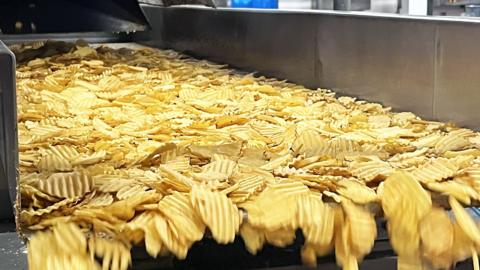 Crisps on a factory production line