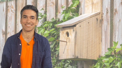 image shows DIY expert wayne perrey