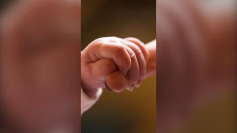A baby's finger is holding the end of its mother's finger