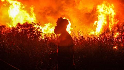 El Nino has started - what will it mean for the world's weather?