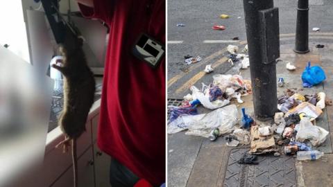 A split image showing, on the left, a person holding a dead rat by head with tongs inside a kitchen near a window. On the right, rubbish including food waste, plastic bags, drinks cans and takeaway containers is scattered around a lamppost on a pavement beside a road.