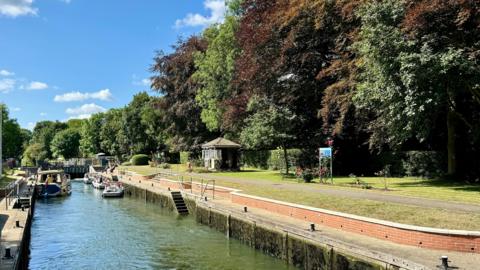 Boats on the canal on a sunny day in Windsor. The banks are grass with trees lining the towpath.