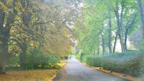 A footpath in Pangbourne surrounded by trees, some of which have started to shed colourful leaves. 