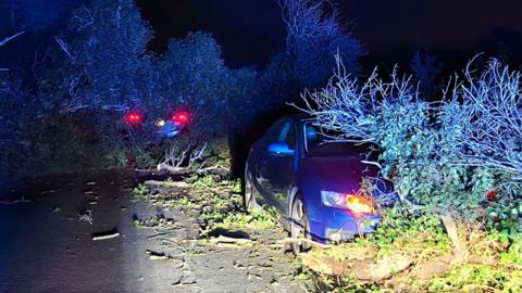It's night time and the lights of two cars are illuminating a road. One of the cars is clearly under the debris of a fallen tree.