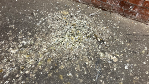 Pigeon poo which is white, brown and green in colour, spread over a grey pavement