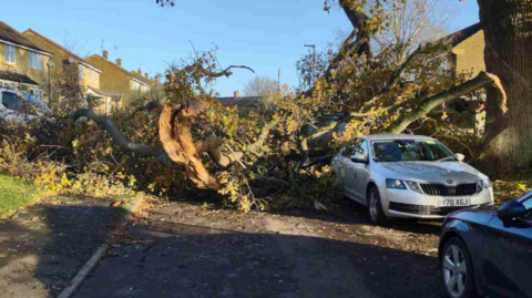 Tree lies across a car after being blown down by Storm Bert.