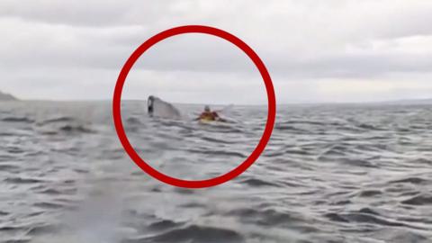 Screenshot of video with a red circle around the man and whale