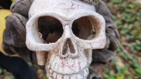 A person holding a white human skull made of plastic. 