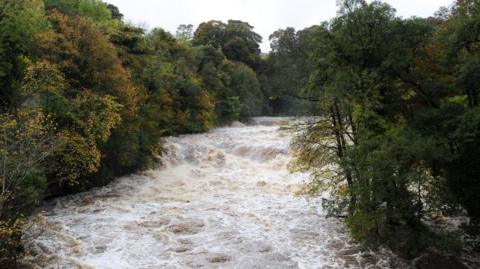 A small waterfall with rushing river water. The river is overlooked by thick trees
