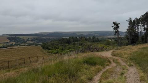 A footpath on a hills is surrounded by fencing and trees and hills and cloudy skies can bee seen in the distance.