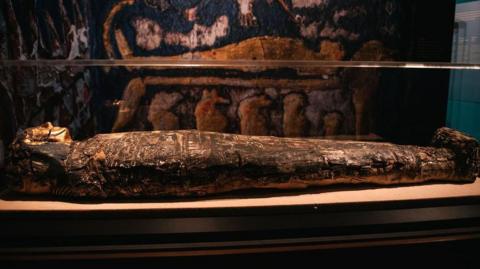 Mummified remains on display