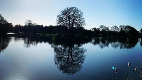 A lake with a blue sky above it. Silhouetted is a line of trees on one side of it