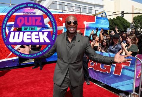 Terry Crews stands in front of an AGT banner wearing a grey suit and smiling. The Quiz of the Week logo is to the left of him.