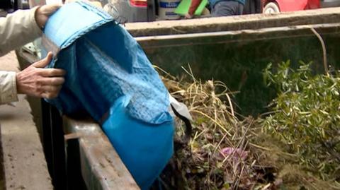 Someone's hands seen holding a blue bag pouring garden waste into a large container.