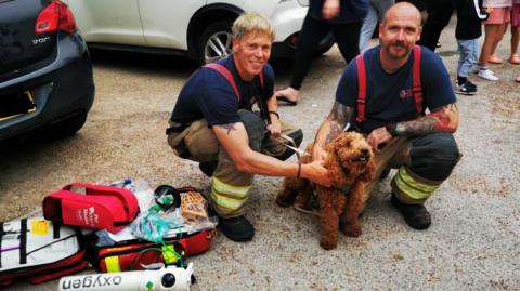 Two crew members in their uniforms- blue t-shirt with a red suspender and beige trousers sitting with the brown cockapoo dog 