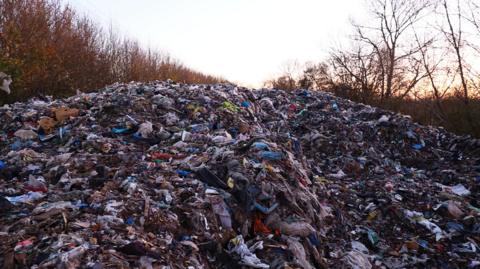 An enormous mountain of waste takes up most of the image. Behind the dump there are rows of bare, autumnal trees stretching off into the distance. 