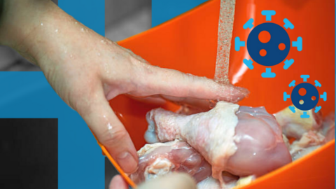 Close-up image showing the hand of a person washing raw chicken drumsticks in an orange bowl under running water. On the top right corner of the picture are graphic illustrations of germs.