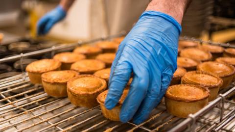 Close up shot of twenty nine pork pies are lined up on a baking rack by a man in blue gloves.