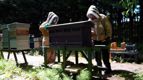 Two bee keepers wearing protective suits stood next to a bee apiary 