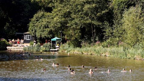 Swimmers in Hampstead Heath ponds on a sunny day taken from a distance