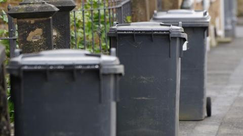 Black bins along a pavement outside houses