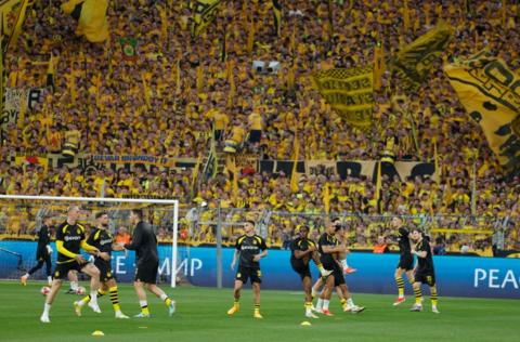 Borussia Dortmund fan