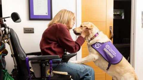 A woman wearing jeans and a red jumper sitting in a wheelchair. A golden Labrador is standing on its hind legs with its paws on her legs and she is cuddling its face. The dog has a harness with Canine Partners written on it. There is an open cupboard door in the background.