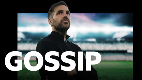 Cesc Fabregas