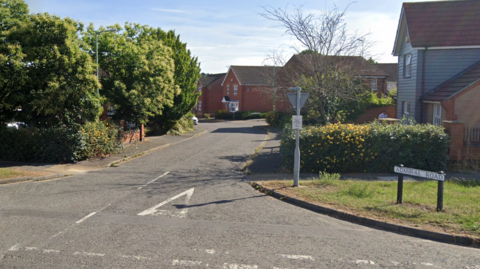 Admiral Road in Ipswich. There is a row of houses and trees and each side of the road.