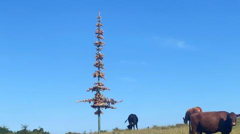 Plastic bottle sculpture in a field with cows