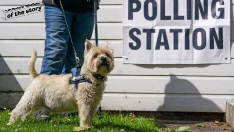 Dog at polling station