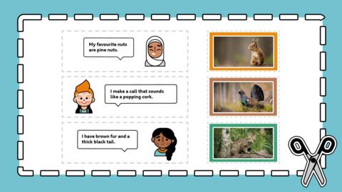 Activity sheet showing facts about animals and pictures of animals to cut out and play a matching game.