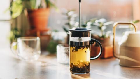 Green tea with fresh mint leaves brewed in a French press on a white table by the window.