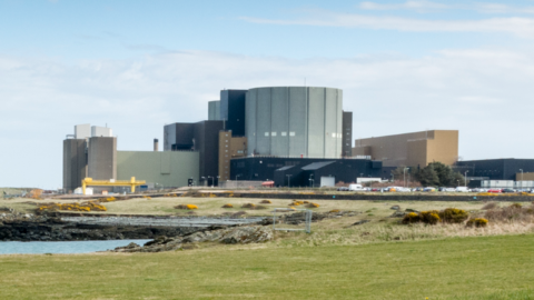 Wylfa