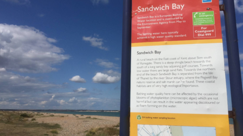 An information board about Sandwich Bay stands beside a shingle beach under a blue sky with scattered clouds. The sign explains the beach's bathing water status and location, with the coastline, sea and distant shoreline visible in the background.
