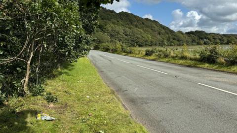 A496 at Barmouth, Gwynedd with a single bunch of yellow flowers (tulips or roses) visible on the lower left hand side of the photo. 