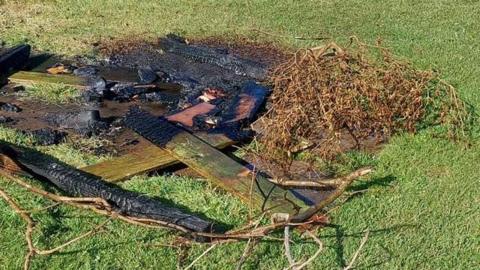 The remnants of a small fire - burnt wood and sticks - on green grass.