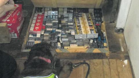 A black sniffer dog in front of a hidden compartment under some floor boards filled with contraband cigarerettes