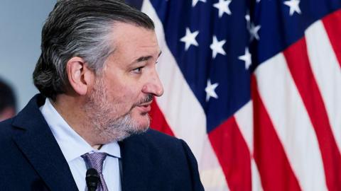 Senator Ted Cruz speaks at an event in front of a US flag