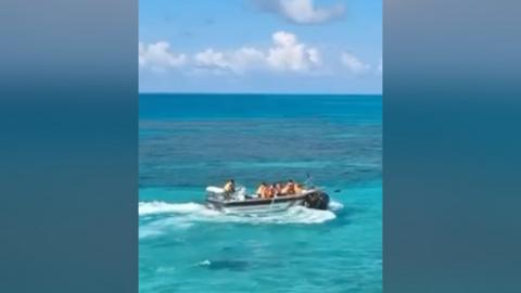Boats at sea