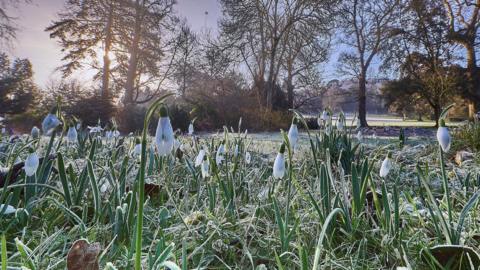 Cold and sunny spring scene with a light frost on the ground