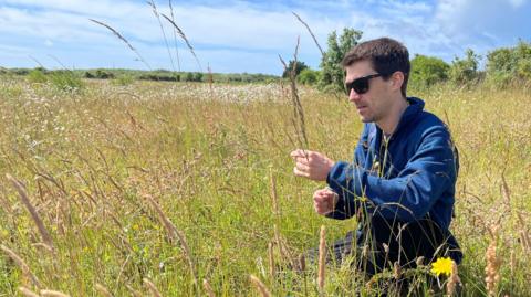 Kevin kneels in a sunlit, grassy meadow, surrounded by tall seed heads and wildflowers, carefully inspecting a plant stem.